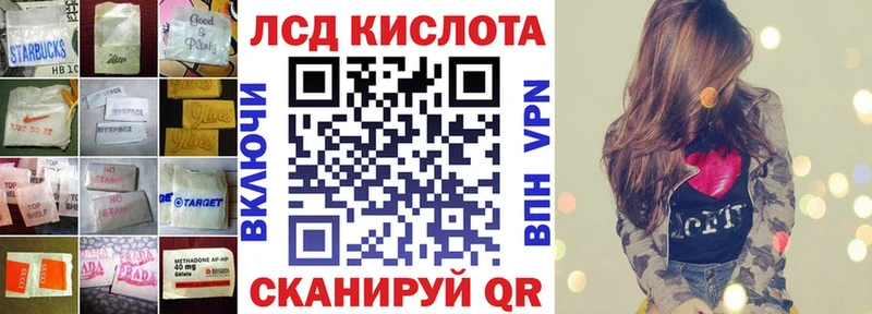 где купить наркоту  Беломорск  mega как войти  Лсд 25 экстази ecstasy 
