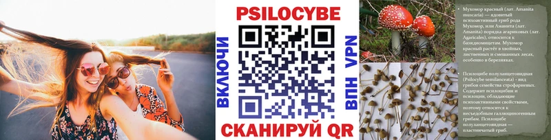 маркетплейс телеграм  Беломорск  Галлюциногенные грибы MAGIC MUSHROOMS 